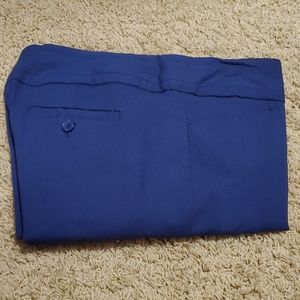 Limited exact stretch ankle pants